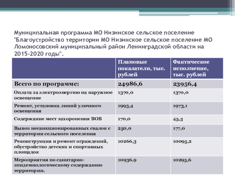 Муниципальная программа сельского поселения