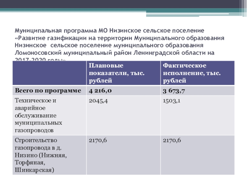 Муниципальная программа сельского поселения