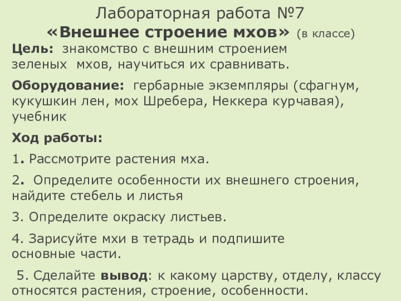 Тест мхи 7 класс. Лабораторная работа внешнее строение мхов 5 класс. Лабораторная работа строение мха. Изучение строения мха лабораторная работа. Строение мха лабораторная работа 5 класс.