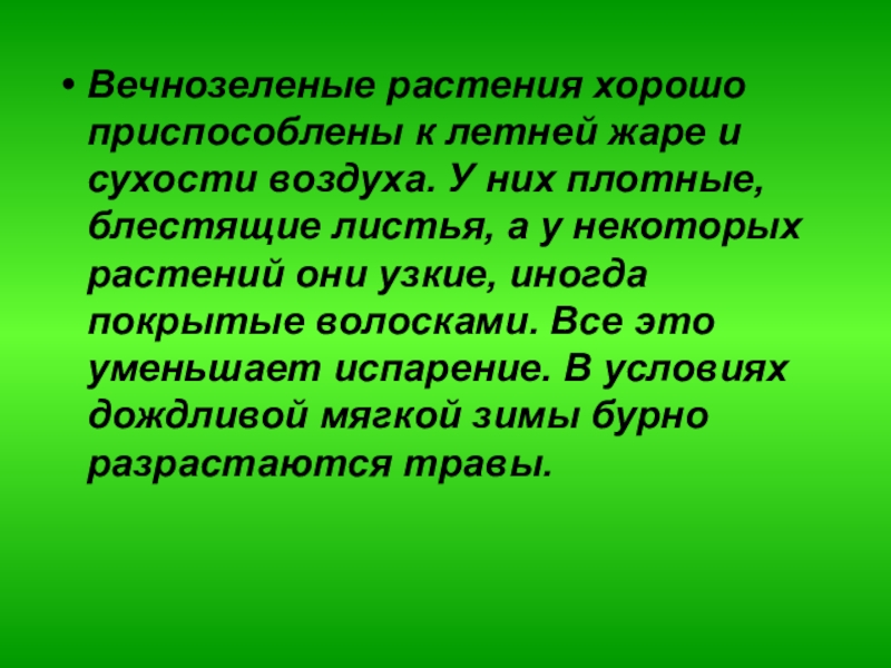 Хвойные уменьшение испарения. Вечнозелёные леса температура летом. У вечнозеленых растений листья сохраняются в течение всей жизни.