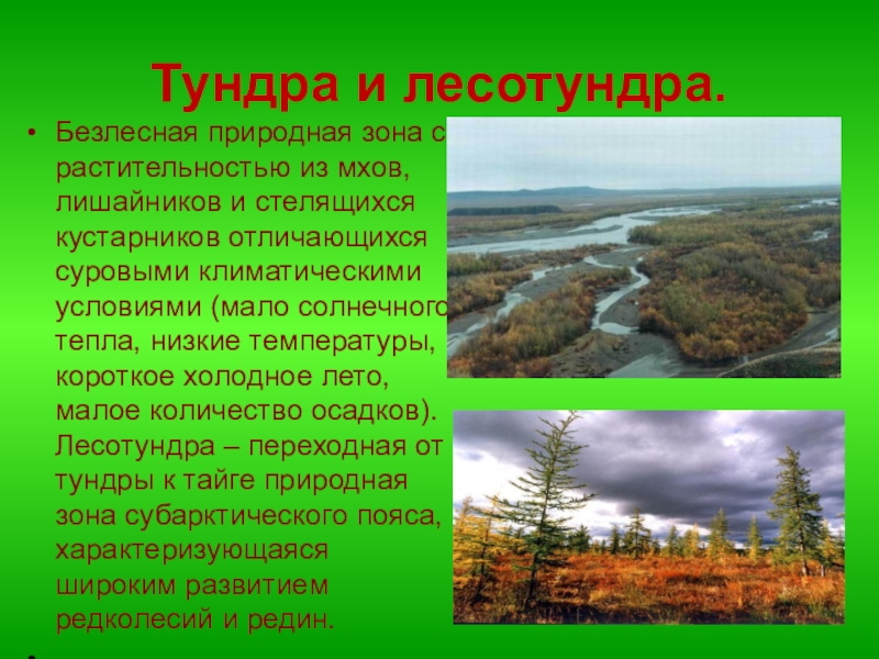 Описание природной зоны евразии по плану тундра