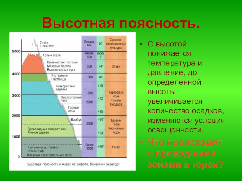 Области высотной поясности фото