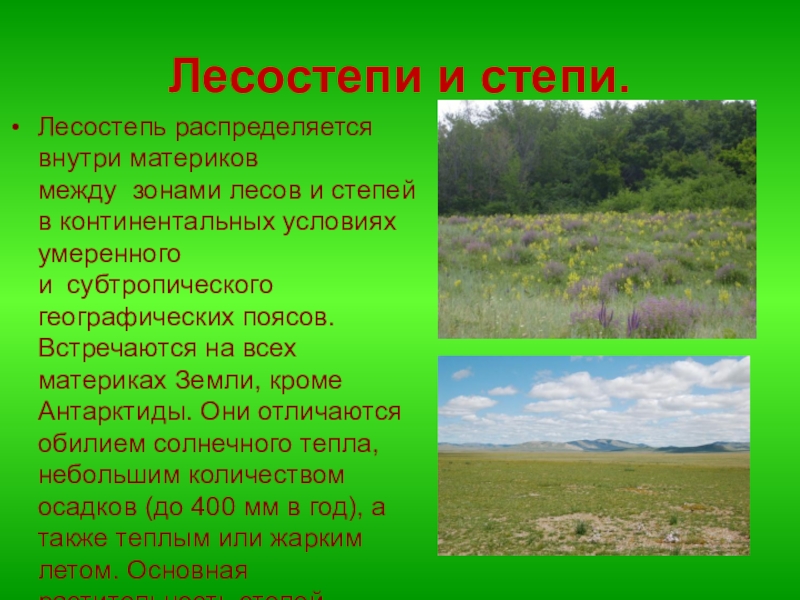 Почвы лесостепи северной америки. Климат лесостепи и степи в Евразии. Природные зоны Евразии степи и лесостепи. Природные условия лесостепи. Природные условия лесостепи и степи.