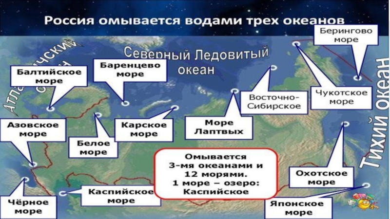 Какие страны омывает