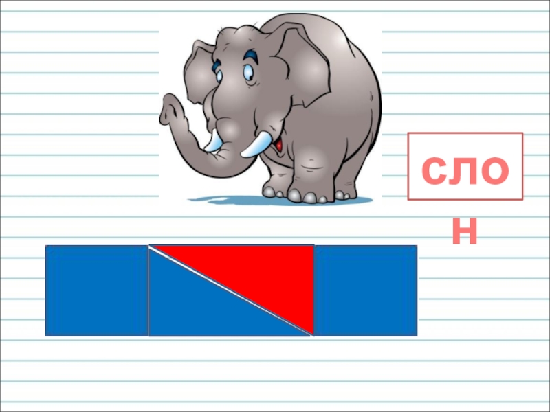 Слон схема слова 1. Слон звуки и буквы. Слон звуковая схема для 1 класса. Буква с - слон. Слониха звуковая схема.