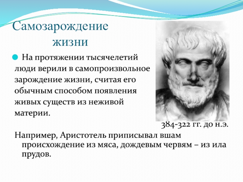 Гипотеза самопроизвольного зарождения презентация