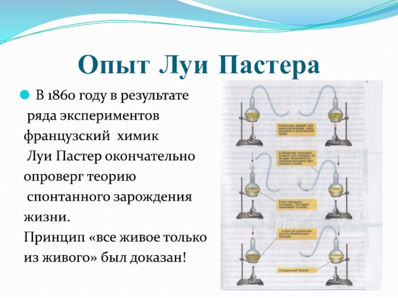 Значимый опыт. Опыт Луи Пастера. Опыт Луи Пастера о зарождении жизни. Опыты реди и Пастера. Результат опыта Луи Пастера.