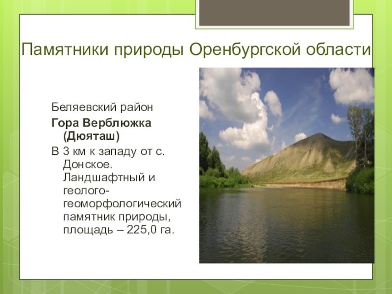 Памятники природы оренбургской области презентация