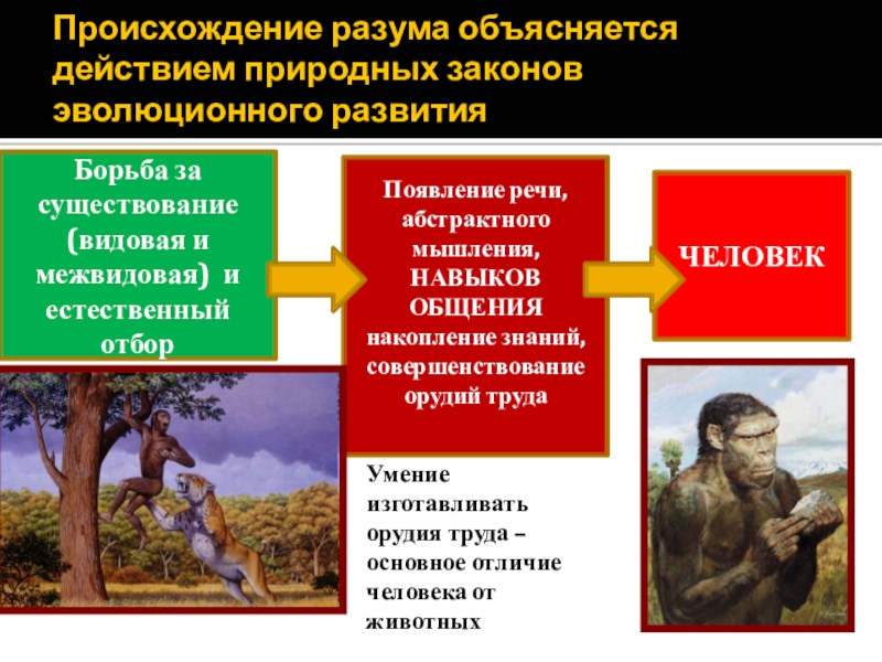 Индивидуальный проект на тему начало цивилизации