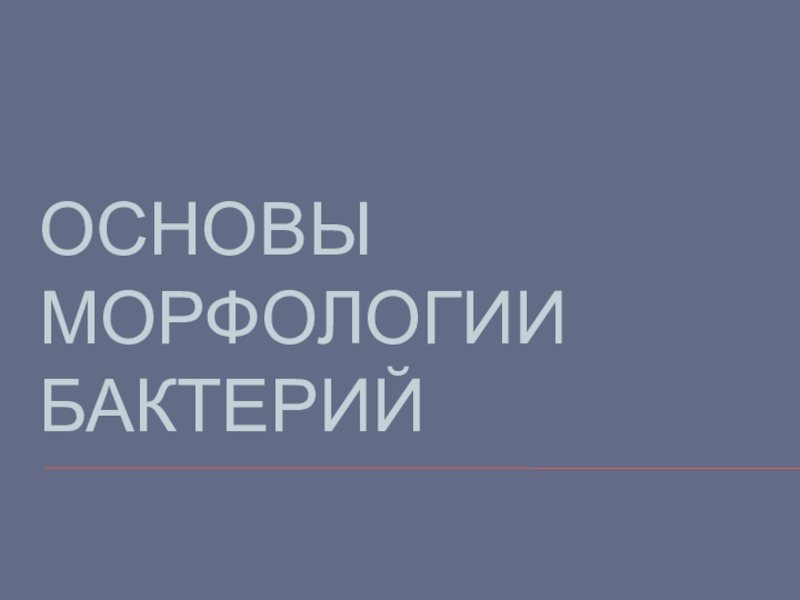 Презентация Основы морфологии бактерий