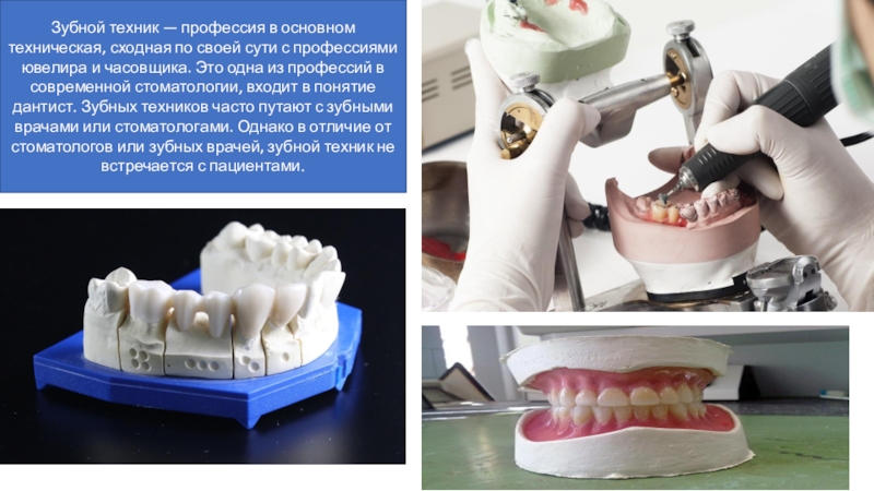 Зубной техник зп. Смеситель 1102 зубной техник. Профессия зубной техник. О профессии зубного техника. Специальность стоматология ортопедическая зубной техник.