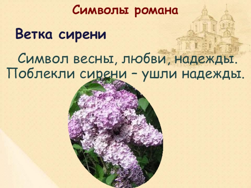 Сирень схема слова