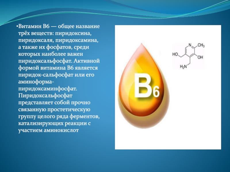 Б6 как называется. Активной формой витамина в6 является.