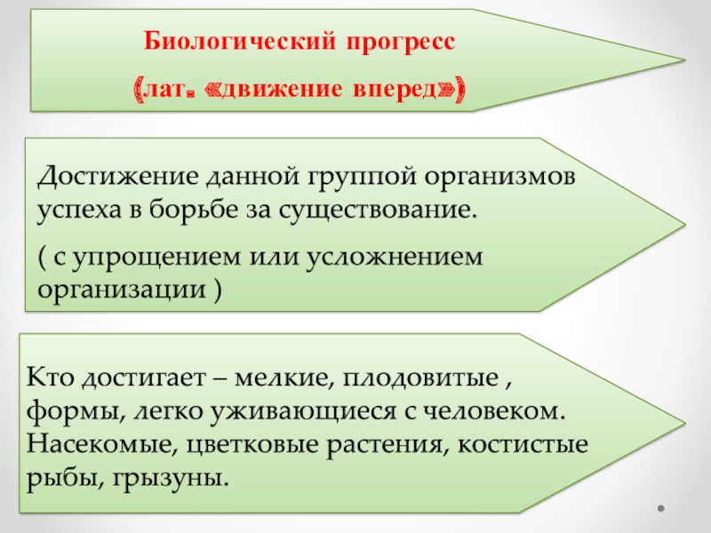 Основные направления эволюции презентация