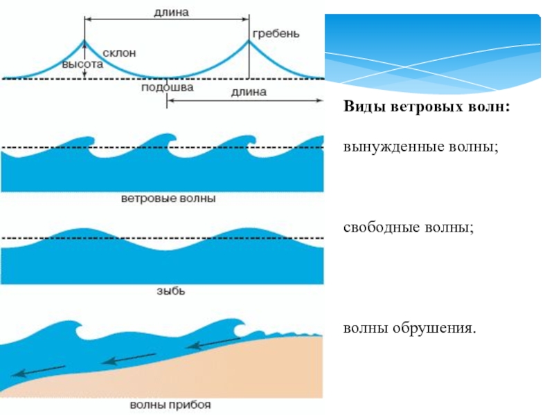 Волны виды волн презентация