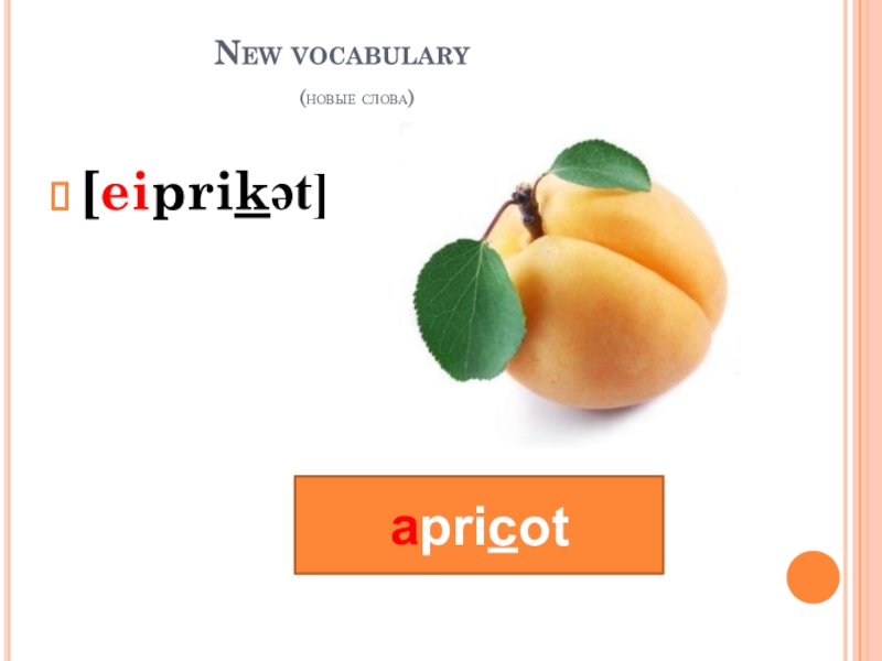Learn new vocabulary. New Vocabulary.