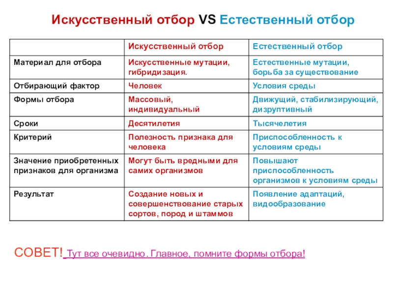 Сравнение естественного. Формы отбора искусственного отбора. Естественный и искусственный отбор. Значение для эволюции естественного и искусственного отбора. Значение искусственного отбора для эволюции.