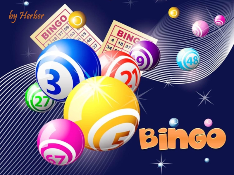 bingo-fun-activities-games-games 58060