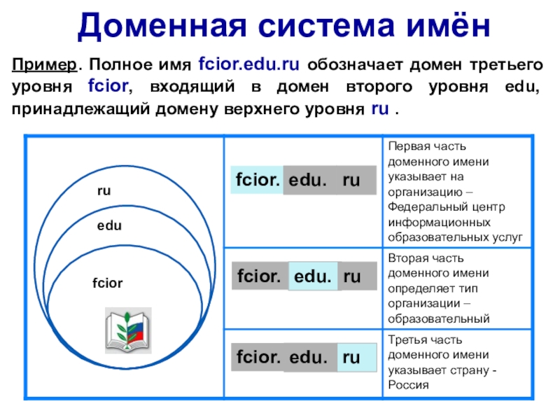 Всемирная компьютерная сеть Интернет
Урок Доменная система имёнПример. Полное имя fcior.edu.ru обозначает домен третьего уровня fcior, Доменная система имёнПример. Полное имя fcior.edu.ru обозначает домен третьего уровня fcior, входящий в домен второго уровня edu,