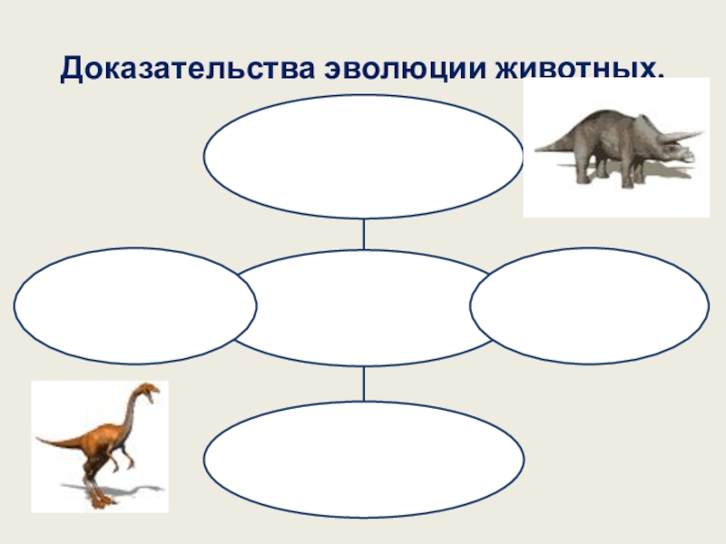 Этапы эволюции животного мира 7 класс биологии презентация