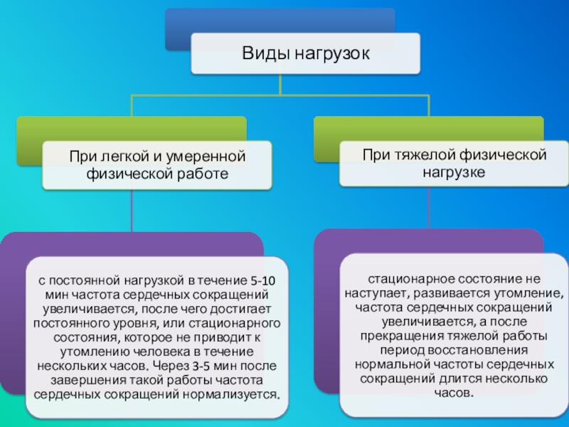 Функциональная активность человека и взаимосвязь физической и умственной деятельности презентация