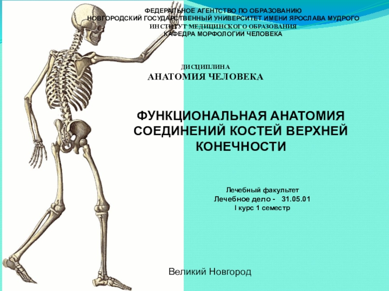 ФЕДЕРАЛЬНОЕ АГЕНТСТВО ПО ОБРАЗОВАНИЮ
НОВГОРОДСКИЙ ГОСУДАРСТВЕННЫЙ УНИВЕРСИТЕТ