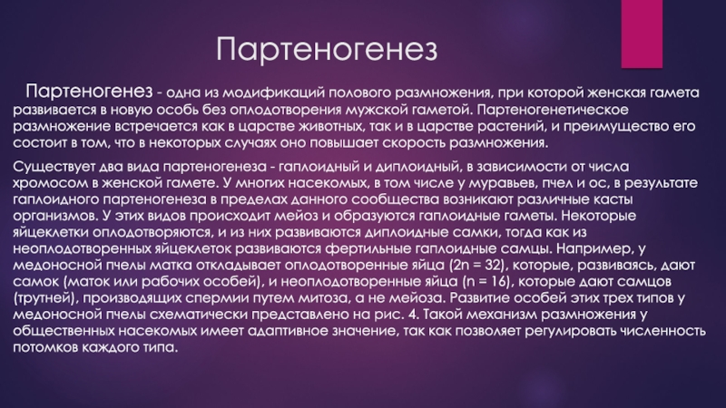 В чем выгода практического использования партеногенеза. Партеногенез как происходит. Значение партеногенеза. Значок партеногенеза. Партеногенез у человека 16 случаев.