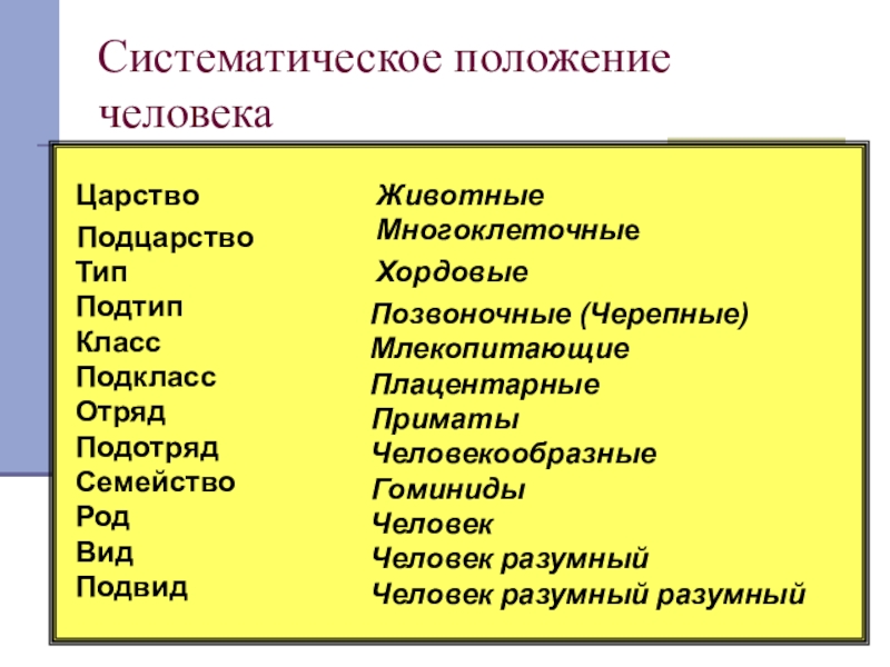 Схема вид род семейство отряд класс подтип тип царство