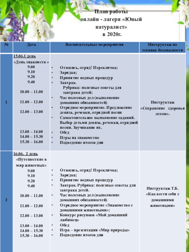 Презентация Дата
Воспитательные мероприятия
Инструктаж по
технике безопасности
1
15.06.1