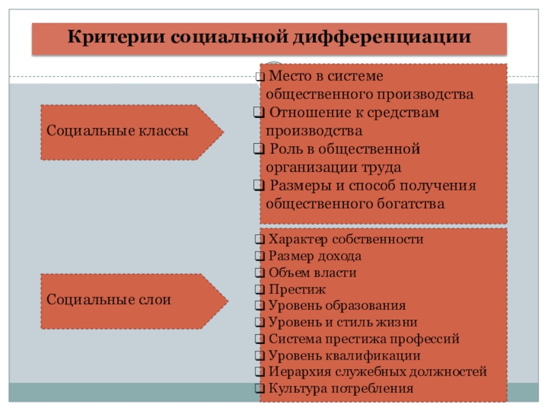 Социальная дифференциация презентация