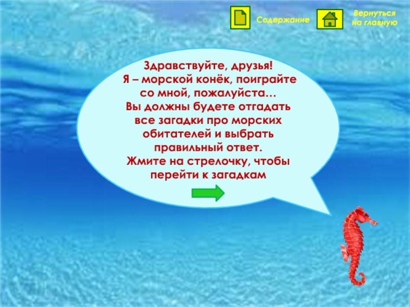 Морские загадки. Загадка про морского конька. Загадка про морского конька для детей. Детская загадка про морского конька. Загадка про морского конька на английском.