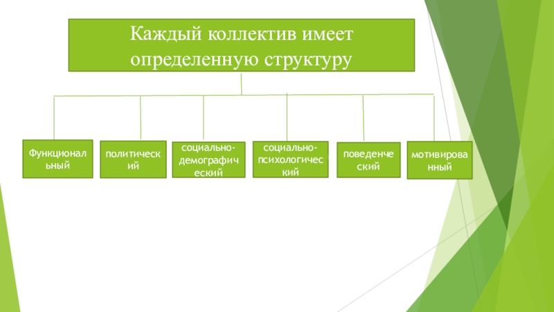 Структура трудового. Структура коллектива. Коллектив имеет структуру. Политическая структура трудового коллектива. Тип структуры трудового коллектива.