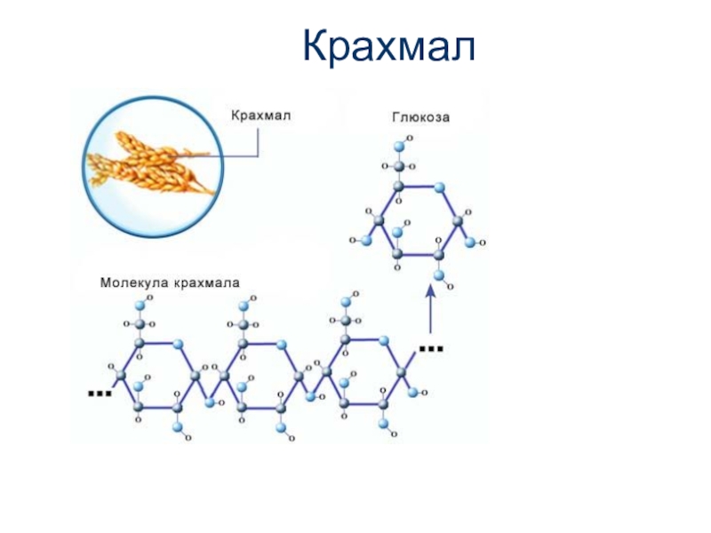 Крахмал картинки химия