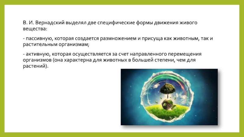 Живое вещество в земной коре. Вернадский Биосфера и Ноосфера. Живое вещество Вернадский. Вернадский живое вещество и Биосфера. Ноосфера интересные факты.