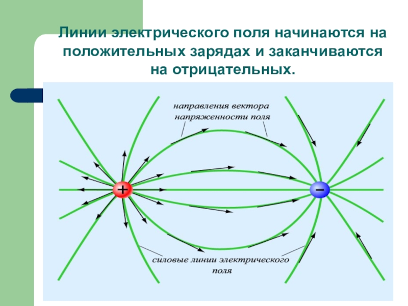 Нарисуйте линии напряженности поля положительно заряженной палочки