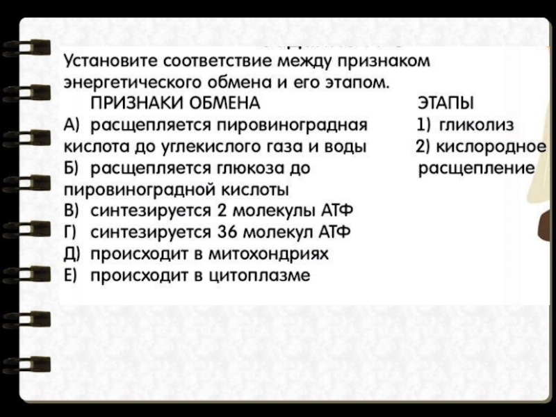 Установите соответствие между процессом обмена. Признаки энергетического обмена. Признаки обмена и его этапы. Признаки обмена веществ и его этапы. Признаками и этапами энергетического обмена дыхания.