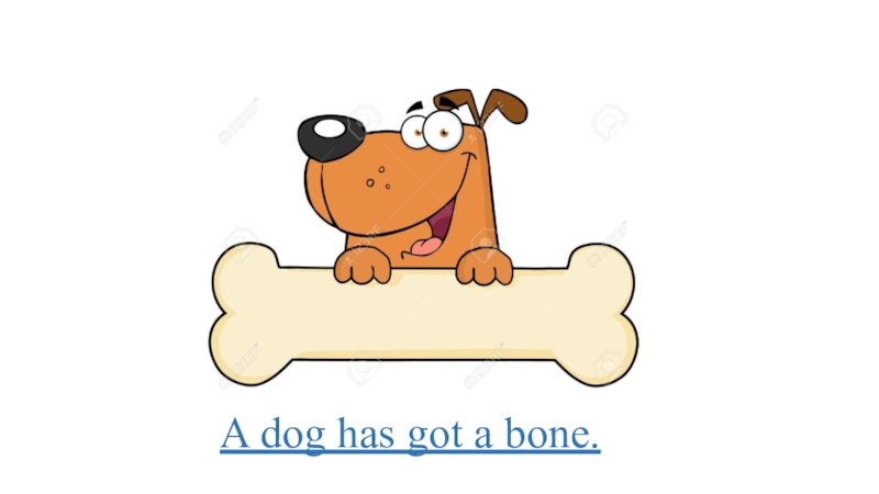 A dog has got a bone.