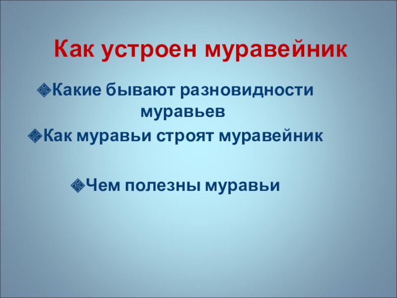 Как устроен муравейник