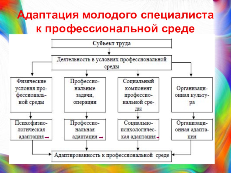 Адаптация новичка в социальной группе презентация