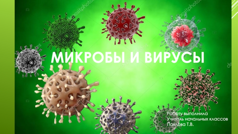 Микробы и вирусы