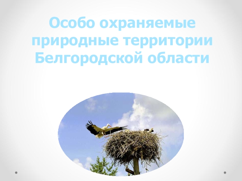 Презентация Особо охраняемые
природные территории
Белгородской области