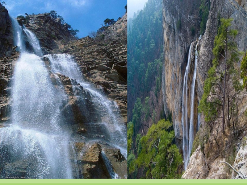 ЯЛТИНСКИЙ ГОРНО-ЛЕСНОЙ ПРИРОДНЫЙ ЗАПОВЕДНИК