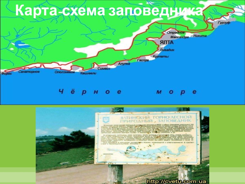 Границы горно лесного заповедника ялта. Территория ялтинского горно-лесного заповедника. Ялтинский горно-лесной заповедник границы. Ялтинский горно-лесной заповедник границы. Ялтинский горно-лесной природный заповедник границы.