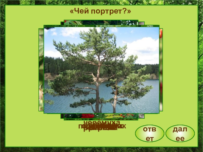 Чей это портрет курчавая горбом. По лесным тропам презентация. По лесным тропинкам викторина про лес. По лесным тропинкам викторина афиша. Реферат по тропикам 5 класс.