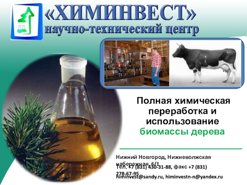 Презентация Полная химическая переработка и использование биомассы дерева
Нижний Новгород,