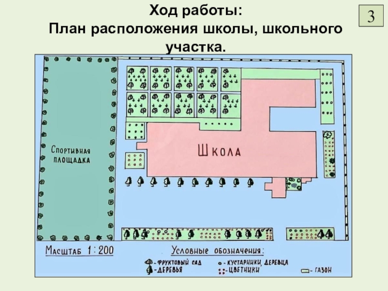 Ход работы: План расположения школы, школьного участка.