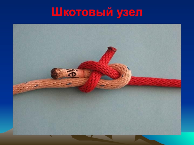 вяжем
туристические
узлы Шкотовый узел Шкотовый узел