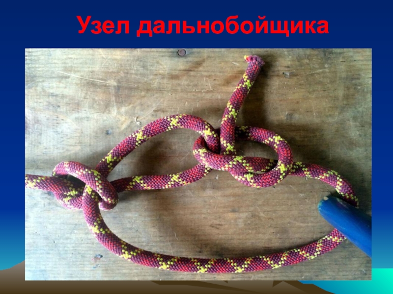 вяжем
туристические
узлы Узел дальнобойщика Узел дальнобойщика