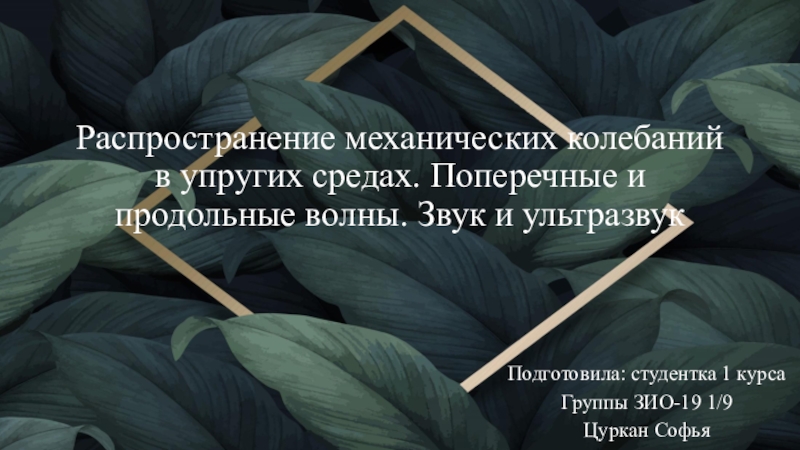 Презентация Распространение механических колебаний в упругих средах. Поперечные и