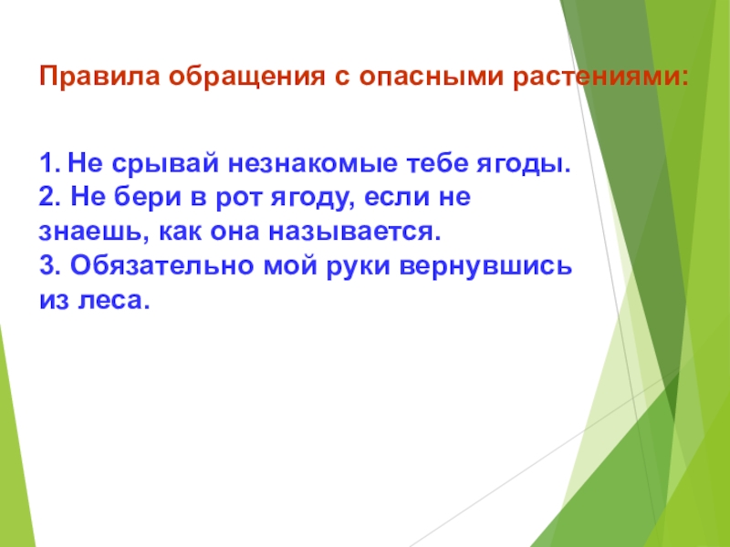 3 обязательных. Правила опасности в лесу. Как избежать опасности в лесу. Заключение опасности в лесу. Опасные встречи в лесу.